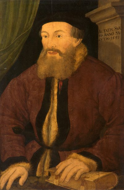 Miehen muotokuva, 1551 tekijältä Flemish School