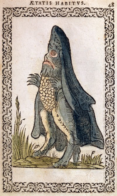 Meripiispa tai merihirviö, kuva Jean Sluperjin teoksesta Melkein kaikkien kansojen ja nykyisten kansakuntien tottumukset ja muotokuvat, Antwerpen, 1572 (väripuupiirros) tekijältä Flemish School