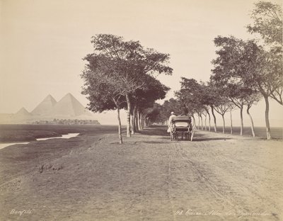 Kairo. Pyramidien kuja, n. 1870. tekijältä Félix Bonfils