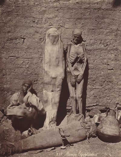 Momies Egyptiennes Egyptiläiset muumiot, n. 1870. tekijältä Félix Bonfils