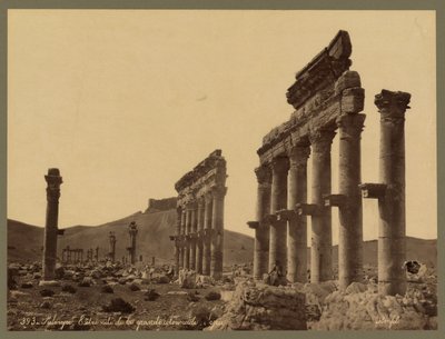 Osa suurta pylväikköä, Qalaat Ibn Maanin linna kaukana, Palmyra, n. 1875 (albumiprintti) tekijältä Félix Bonfils