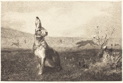 Jänis tekijältä Félix Bracquemond after Albert de Balleroy