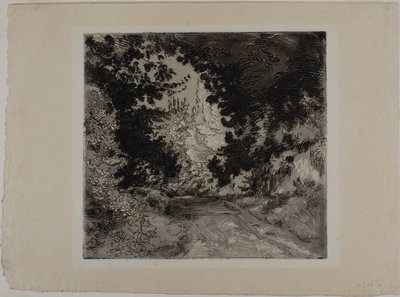 Chemin de Coutures, Sèvresin kaupunki tekijältä Félix Henri Bracquemond