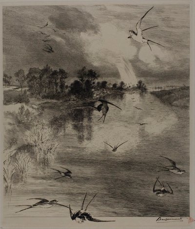 Pääskyset tekijältä Félix Henri Bracquemond