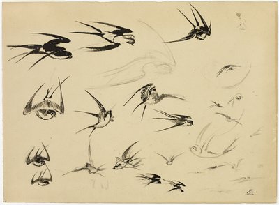 Pääskyset tekijältä Félix Henri Bracquemond