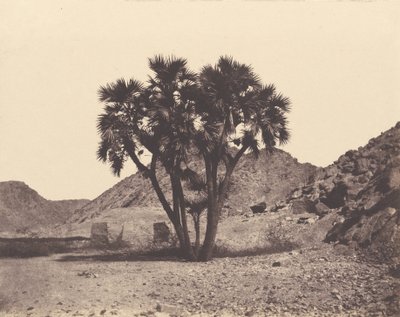 Egypti ja Nubie. Sites et Monuments ... Atlas Photographe ... Deuxieme Partie. Nubie tekijältä Félix Teynard