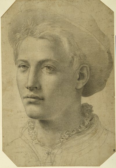 Pään muotokuva nuoresta lippiksestä, n. 1530-40 (musta liitu valkoisella paperilla) tekijältä Florentine School