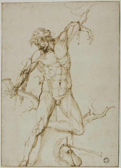 Marsyas sidottu puuhun tekijältä Follower of Baccio Bandinelli