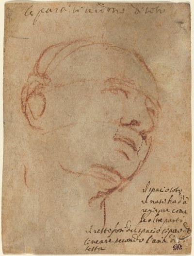 Miehen pää tekijältä Follower of Michelangelo