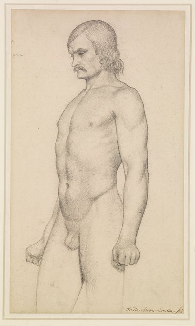 Male Nude - Academic Study, kolmen neljäsosan pituinen alaston, viikset ja puristetut nyrkit tekijältä Ford Madox Brown