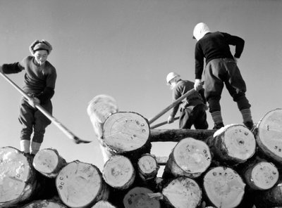 Puunleikkaajat työssään tekijältä Fosco Maraini