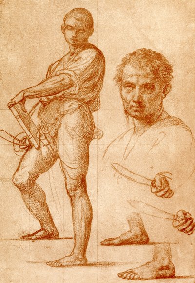 Pyhää Bartholomeusta koskeva tutkimus tekijältä Fra Bartolomeo