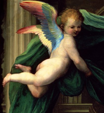 Sienalaisen Katariinan mystinen avioliitto pyhimysten kanssa, enkelin yksityiskohta, 1511 öljy paneelille, yksityiskohta 93870 tekijältä Fra Bartolommeo
