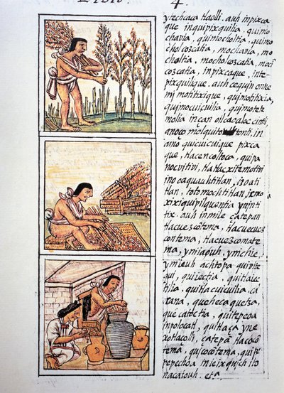 Kohtauksia talonpojan elämästä, vehnän sadonkorjuu, siementen poistaminen matolla ja varastointi purkkeihin, teksti nahuatilla, faksimilesta Bernardino de Sahagunin käsikirjoituksesta General History of Things of New Spain, joka tunnetaan myös nimellä Flor tekijältä Fra Bernadino da Sahagun