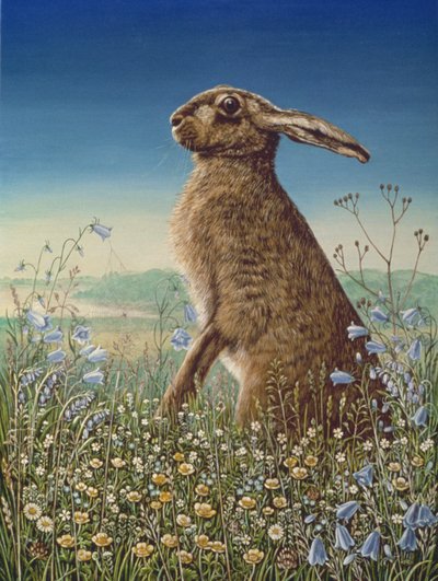 Jänis, 1984 (öljy ja tempera paneelissa) tekijältä Frances Broomfield