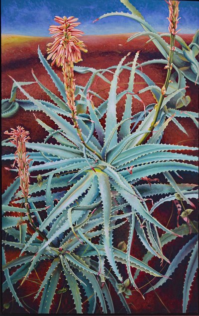 Aloe tekijältä Frances Ferdinands