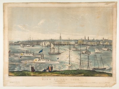 Näkymä New Yorkiin Brooklyn Heightsista, 1849. tekijältä Frances Flora Bond Palmer