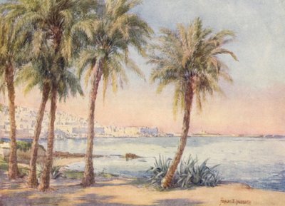 Algiers Jardin d
