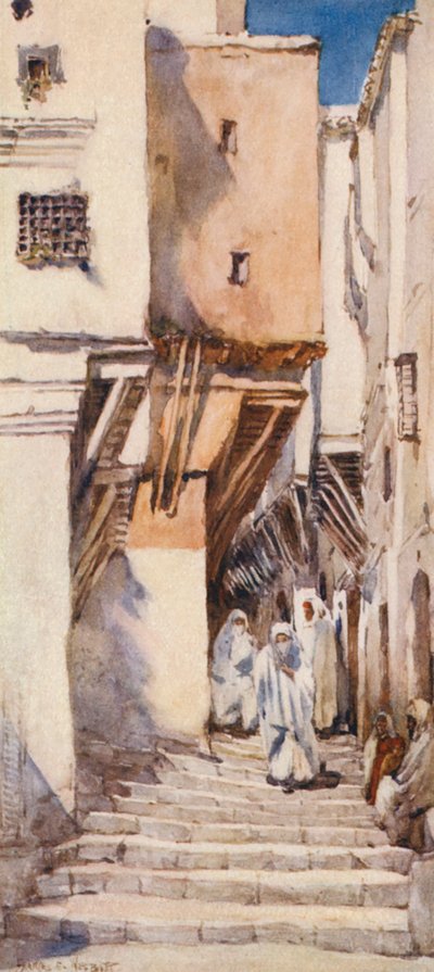 Vanha katu, Algeria (värilitro) tekijältä Frances Nesbitt
