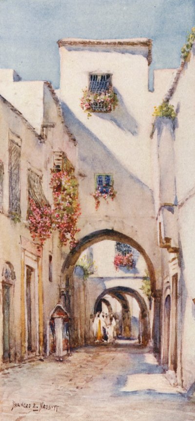 Rue Tourbet el Bey, Tunis (värilitro). tekijältä Frances Nesbitt