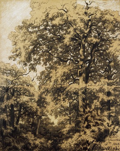 Fontainebleaun metsä tekijältä Francesco Gamba