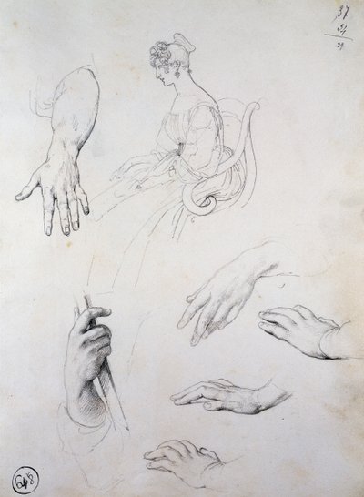 Tutkimus Cristina Trivulzio Belgiojoson muotokuvaan tekijältä Francesco Hayez