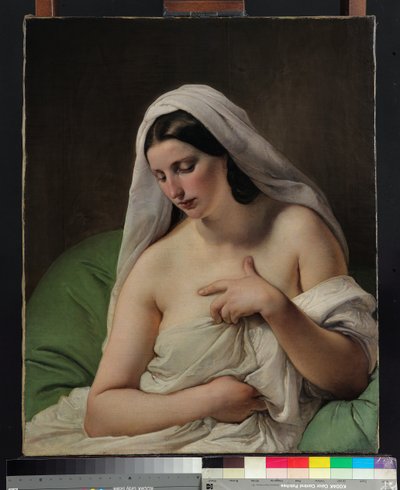 Odaliskki tekijältä Francesco Hayez