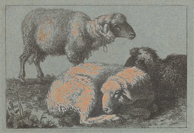 Kaksi makuuasentoon ja yksi seisova lammas, 17571758. tekijältä Francesco Londonio