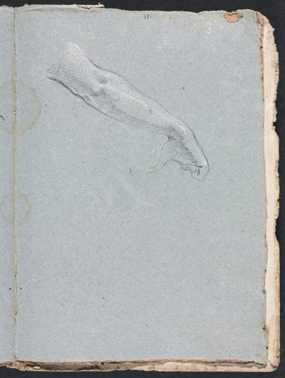 Verona Sketchbook: Oikea käsi ja käsi sivu 95, 1760. tekijältä Francesco Lorenzi
