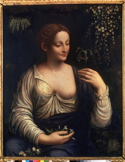 ""Flore"" (Flora) Francesco Melzin (1493-noin 1570) maalaus 1510-1515 Dim. 76x63 cm Pietarin Eremitaaši tekijältä Francesco Melzi or Melzo