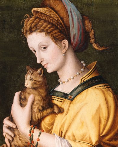 Nainen kissan kanssa, n. 1525-30 tekijältä Francesco Ubertini Bacchiacca