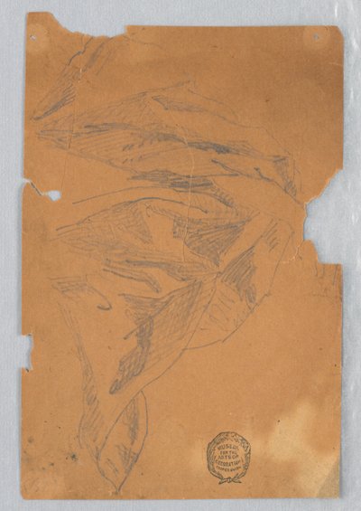 Drapery-tutkimus tekijältä Francis Augustus Lathrop