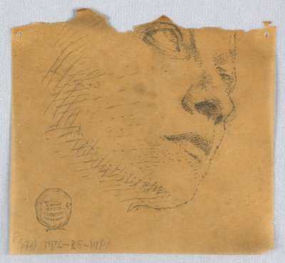 Osittainen luonnos kasvoista tekijältä Francis Augustus Lathrop