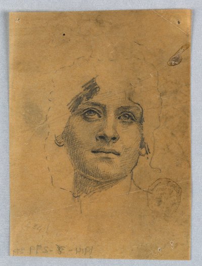 Luonnos naisen kasvoista tekijältä Francis Augustus Lathrop
