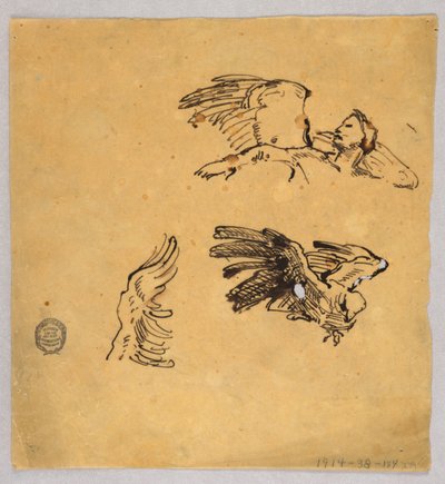 Siipien tutkimukset tekijältä Francis Augustus Lathrop