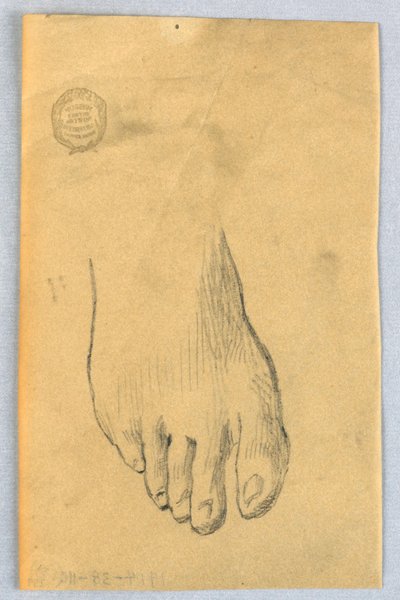Estudi del peu dret tekijältä Francis Augustus Lathrop
