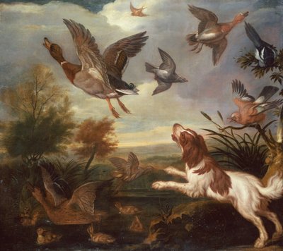 Spaniel Flushing Mallard (öljy kankaalle) tekijältä Francis Barlow