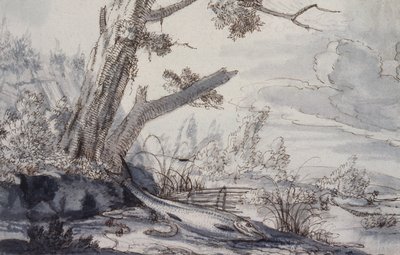 Kala pankissa tekijältä Francis Barlow