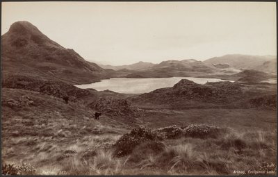 Arthog, Creigene-järvi tekijältä Francis Bedford