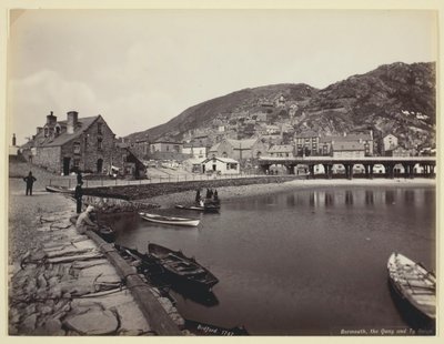 Barmouth, the Quay ja Ty Gwyn, 186094. tekijältä Francis Bedford