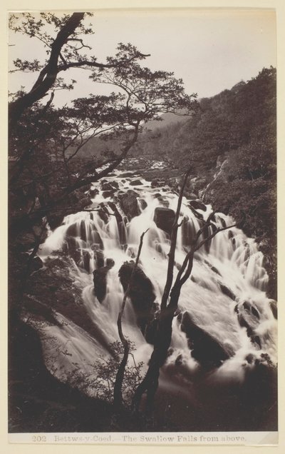 Bettw-s-y Coed, Swallow Falls from Above tekijältä Francis Bedford