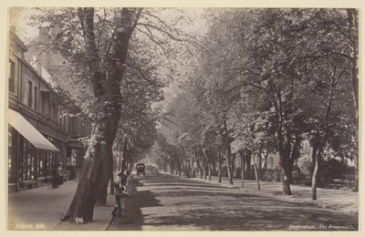 Cheltenham, Promenade tekijältä Francis Bedford