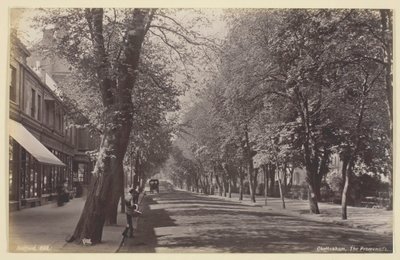 Cheltenham, Promenade, 186094. tekijältä Francis Bedford