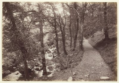 Dolgelley, View in Torrent Walk, 186094. tekijältä Francis Bedford