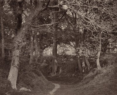 Glen Kenilworth,c. 1868 (kuva) tekijältä Francis Bedford