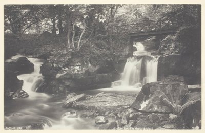Glen Lyn, maalaismainen silta, 186094. tekijältä Francis Bedford