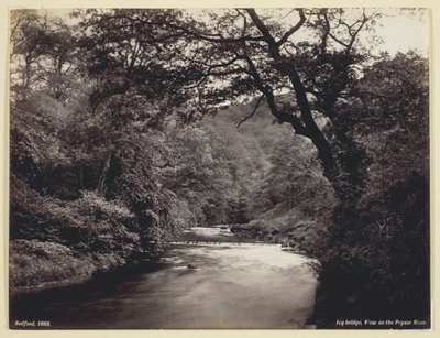 Ivy Bridge, Näkymä Prysor-joelle, 186094. tekijältä Francis Bedford