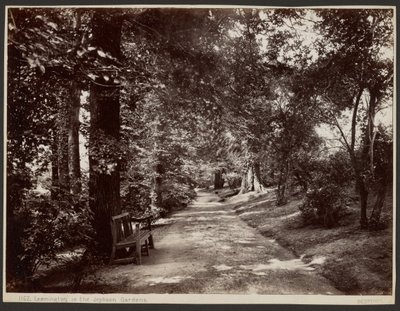 Leamington, Jephson Gardens -puistossa. tekijältä Francis Bedford