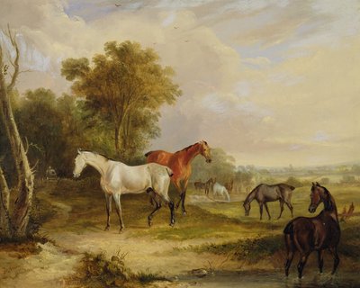 Hevoset laiduntavat: Harmaa ori laiduntelee tammojen kanssa niityllä (öljy kankaalle) tekijältä Francis Calcraft Turner