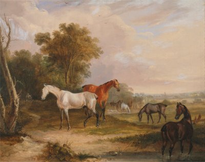 Hevoset laiduntamassa: harmaa ori laiduntamassa tammojen kanssa niityllä. tekijältä Francis Calcraft Turner